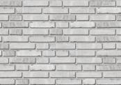 JOSEPH BRICKS plytos George