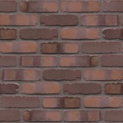 MUHR Rotbraun bunt Spezial Gerumpelt 04SG