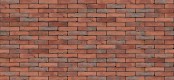 VANDERSANDEN Carmine GS 309